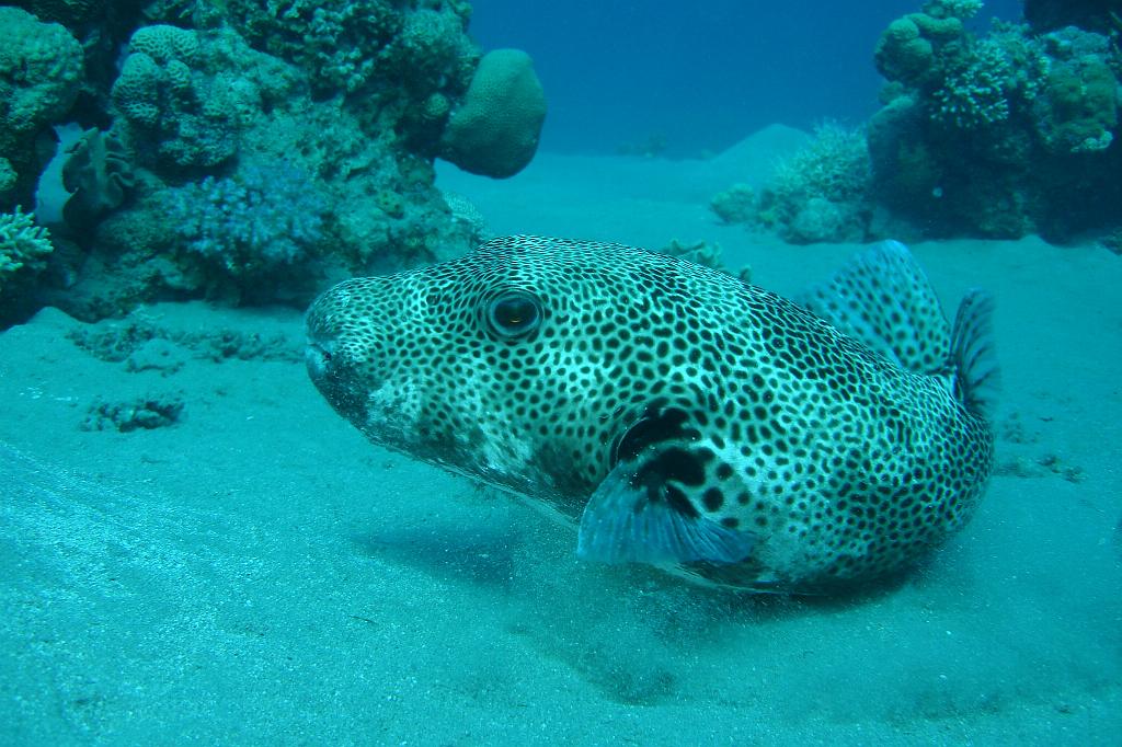2008-11-07 12-41-14.JPG